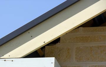 Brixton Deverill fascia repairs