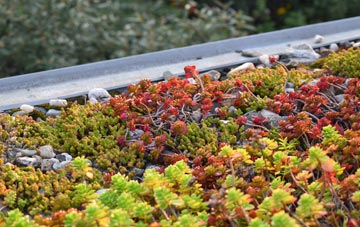 the cost of Brixton Deverill green roof installation
