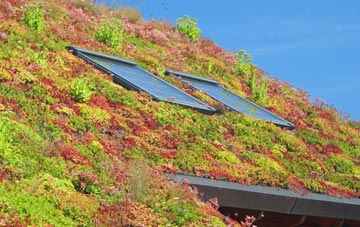 Brixton Deverill living roof systems