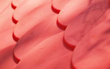 Brixton Deverill plastic roof costs