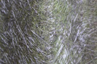 Brixton Deverill fibreglass roof work